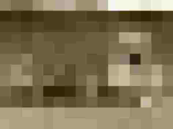 Fünf Männer sitzen entspannt vor einer alten Holzwand auf einer Wiese